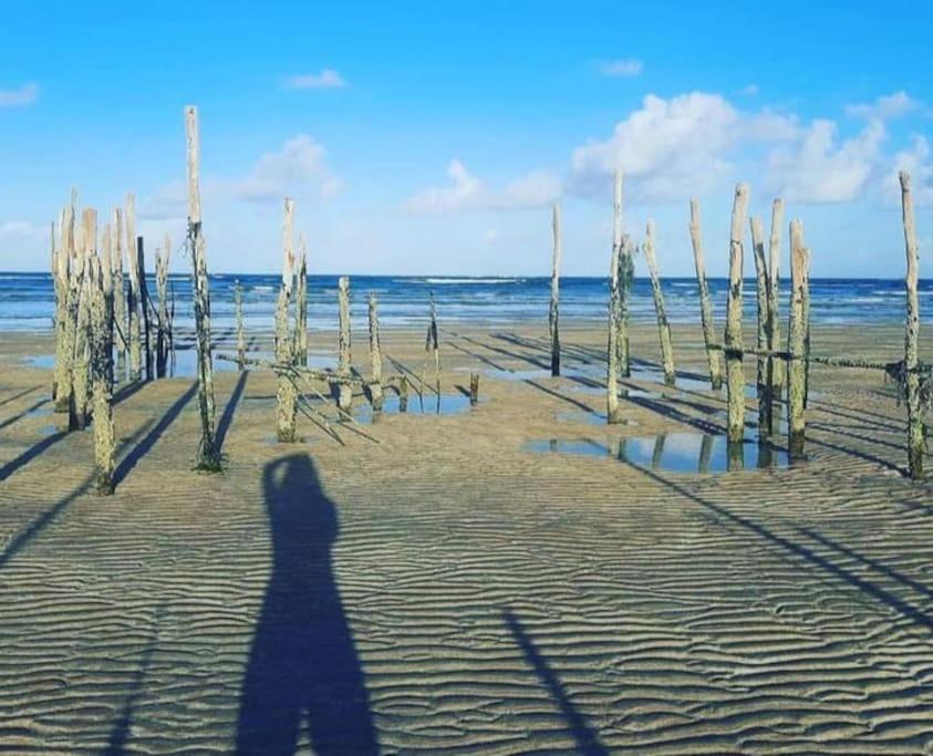 Maravilhosa Mansao Na Praia De Ipioca Maceio  Luaran gambar